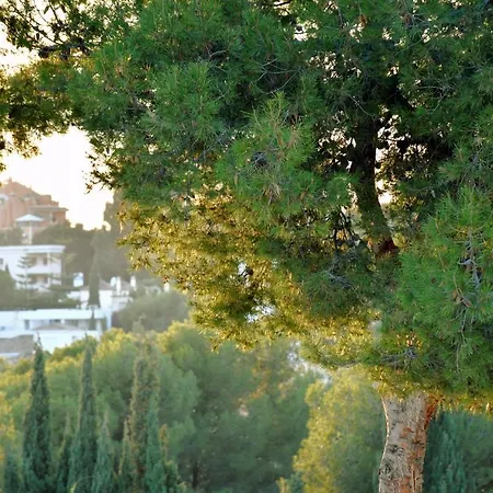 Yellow Jasper - Gemstone Getaway Vakantiehuis *