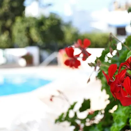 Vakantiehuis Yellow Jasper - Gemstone Getaway *