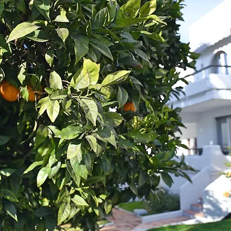 Vakantiehuis Yellow Jasper - Gemstone Getaway