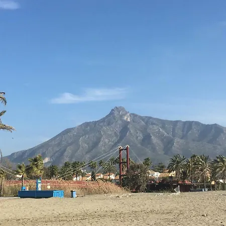 Yellow Jasper - Gemstone Getaway *