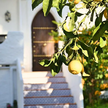 بيت للعطل Yellow Jasper - Gemstone Getaway