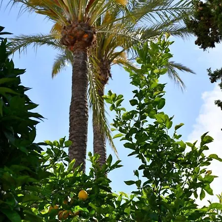 Yellow Jasper - Gemstone Getaway Marbella