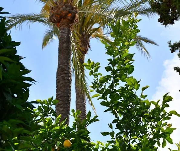 Yellow Jasper - Gemstone Getaway Marbella